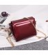 CL215 - Stylish color Classic side bag