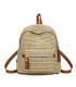 CL557 - Rattan straw shoulder bag