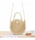 CL571 - Vacation beach woven Straw Handbag
