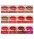 MA433 - Menow 12 pcs Long  Lasting Matte Lipstick