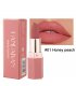 MA600 - Honey Peach Color Lipstick
