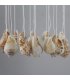 DC063 - Shell conch wind chime