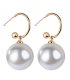 E1496 - Pearl Drop Earrings