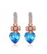 E507 - European Crystal Earrings