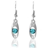 E789 - Austrian crystal your world earrings