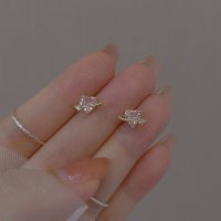 XE041 - Crystal Heart Earrings
