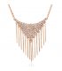 N1939 - Diamond tassel Necklace