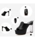 SH013 - High Heeled Elegant Black Shoes
