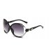 SG352 - Classic fashion sunglasses