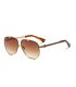 SG463 - Trendy Ladies sunglasses