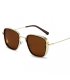 SG497 - Retro Steampunk polarized sunglasses