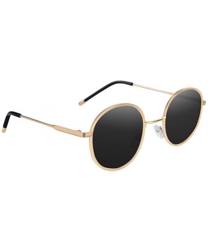 SG553 - Polarized Modern Ladies Sunglasses