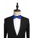 T042 - Feather bow Handmade tie
