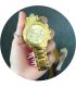 W2281 - Diamond-studded scale female watch